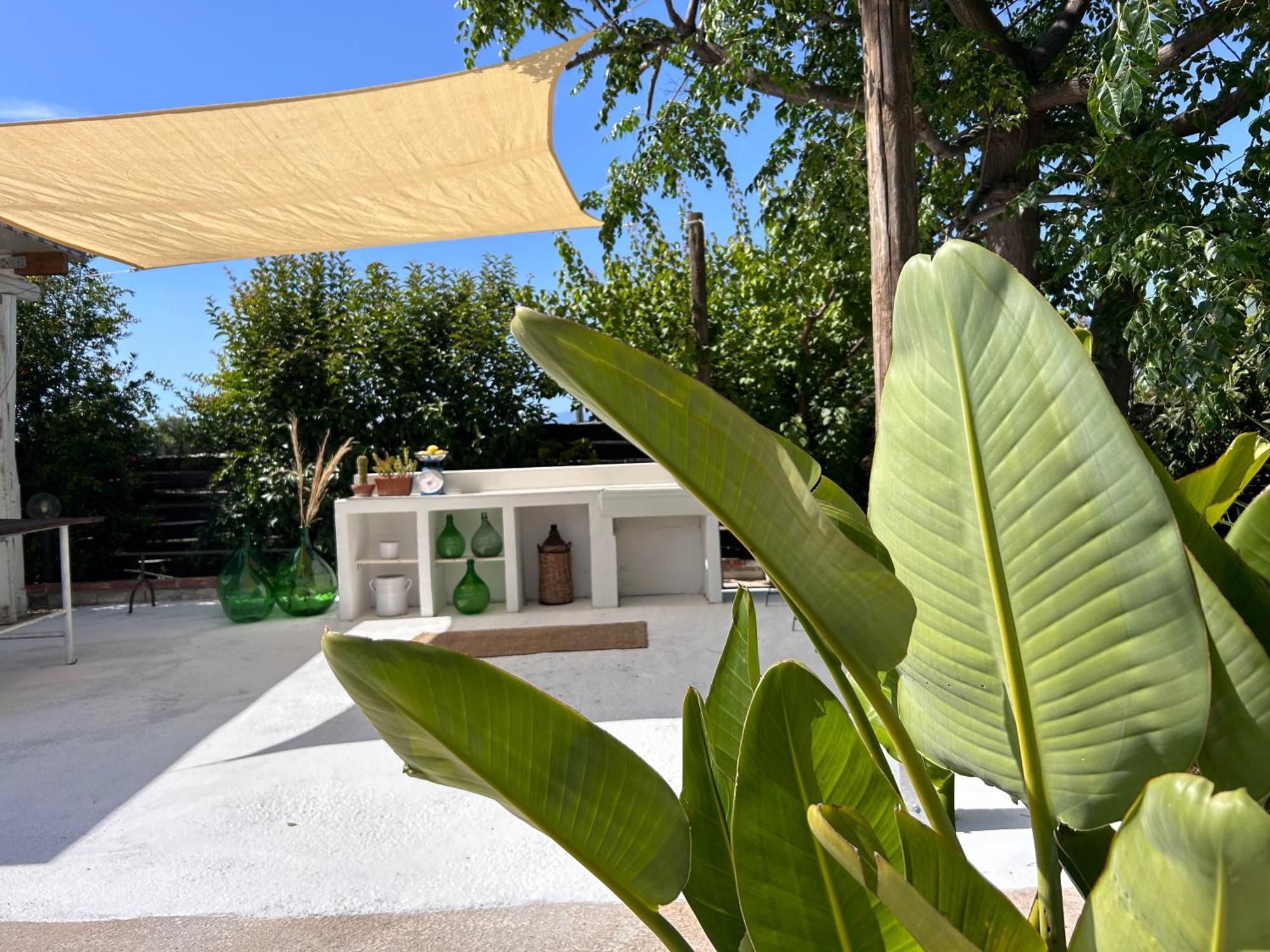 87029House Pension Scalea Buitenkant foto